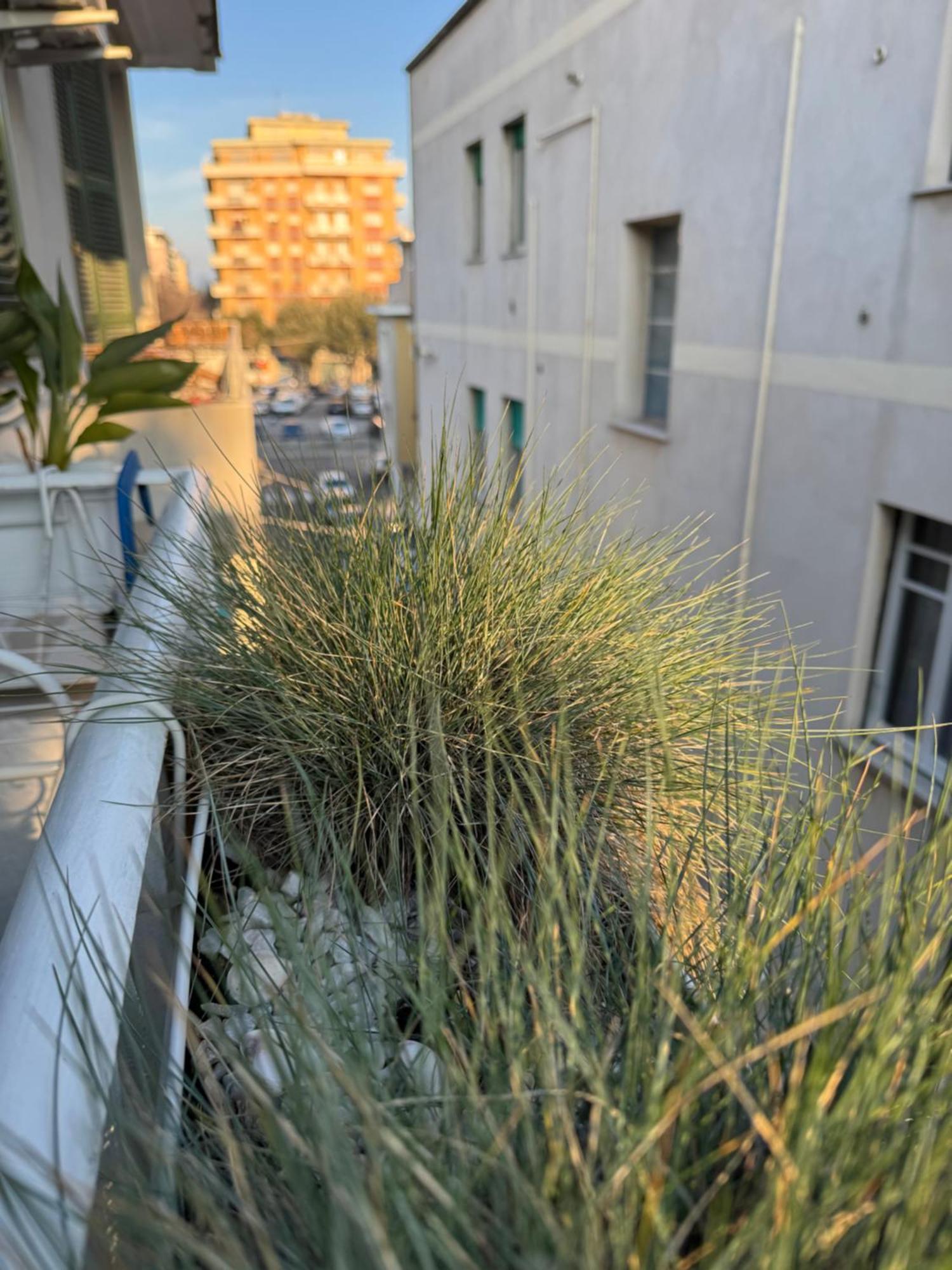 Okra Apartment Pescara Centro Экстерьер фото